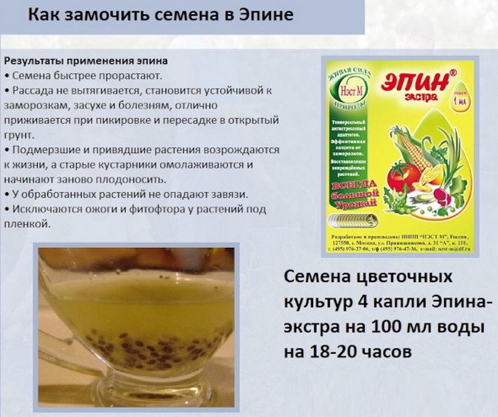 &laquo;Епін&raquo; для рослин &ndash; опис та інструкція із застосування &laquo;чуда-засобу&raquo;