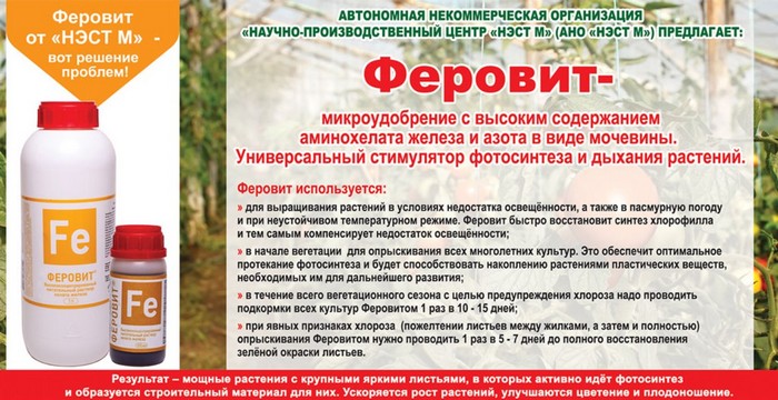 Добрива для розсади