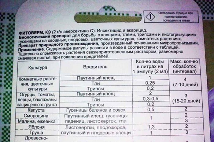 Попелиці на огірках у теплиці та відкритому ґрунті. Рейтинг 2023 засобів від попелиці