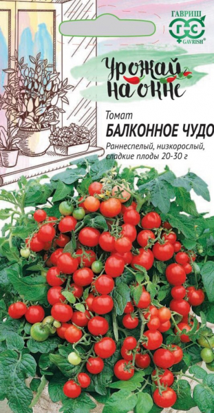 Кращі сорти томатів для теплиць із полікарбонату у 2024 році.