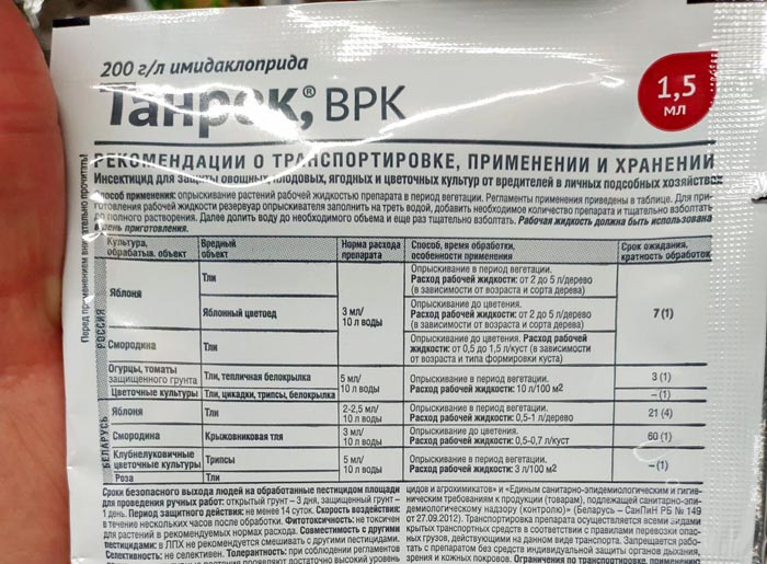 Попелиці на огірках у теплиці та відкритому ґрунті. Рейтинг 2024 засобів від попелиці
