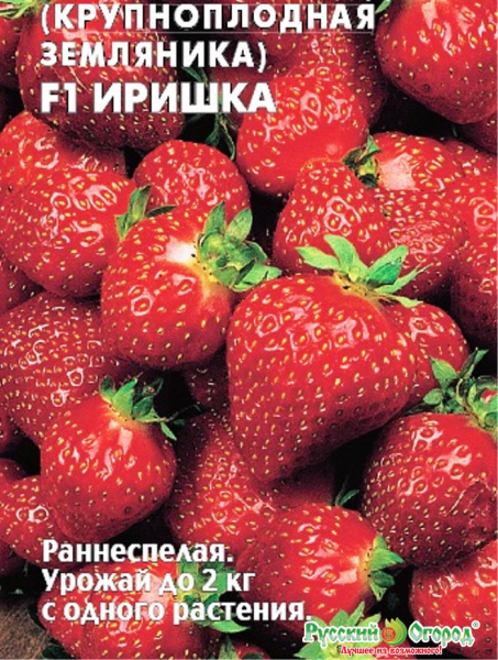 Кращі сорти полуниці для України у 2024 році