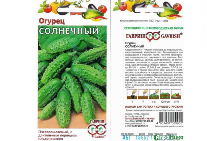Сорта огірків &mdash; 42 найкращі сорти 2024 року