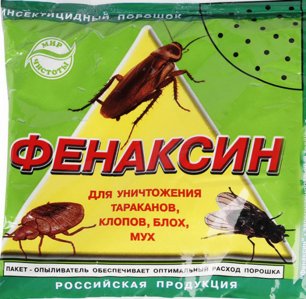 Двохвістка: чим небезпечна, як її позбутися — 15 перевірених методів