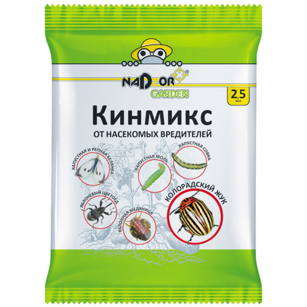 Як позбутися попелиці на смородині: рейтинг коштів від попелиці 2023 року