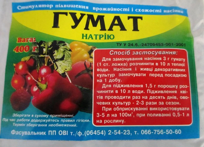 Пероноспороз рослин: що це, як боротися та врятувати врожай