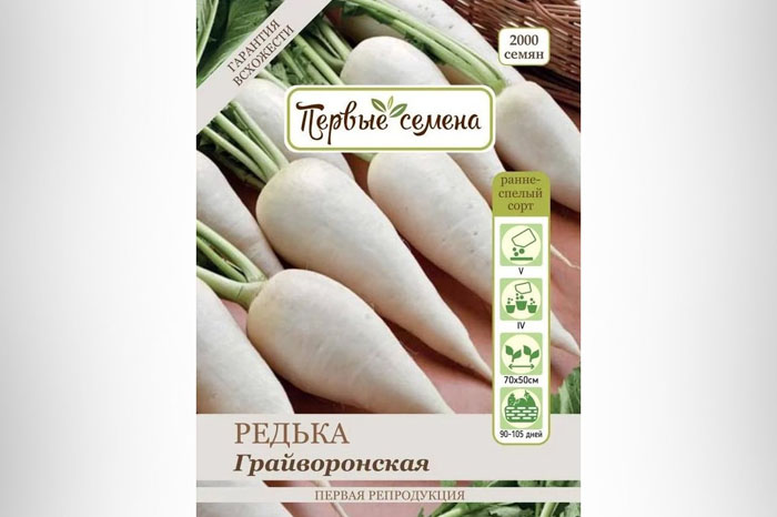 Як садити редьку: сорти, терміни, як сіяти
