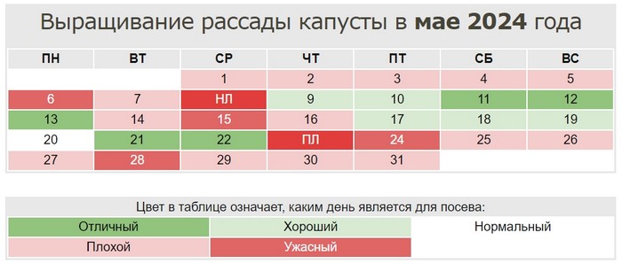 Коли сіяти капусту на розсаду у 2024 році?