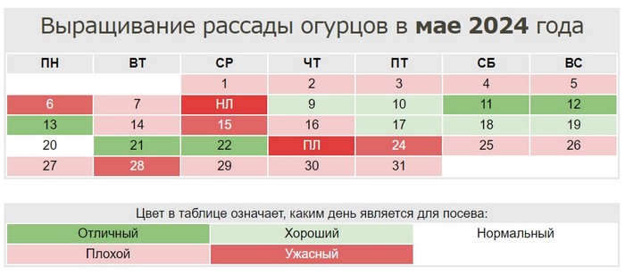 Коли і як садити огірки на розсаду у 2024 році