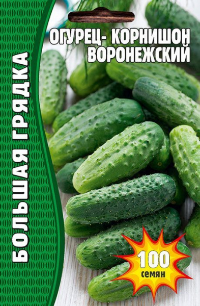 Урожайні сорти огірків - рейтинг 2024 року