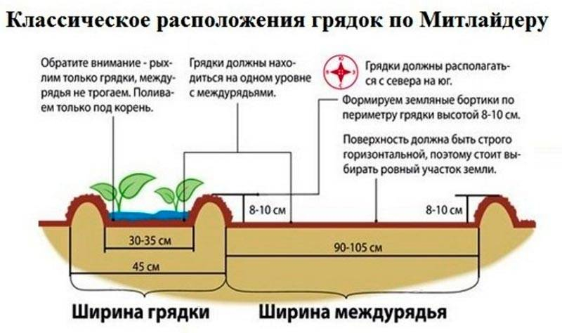 Картопля для півночі: сорти, коли та як садити