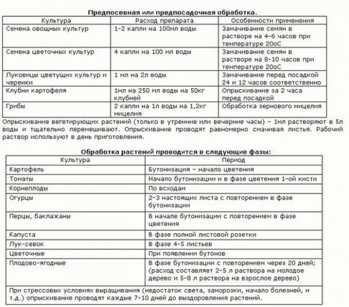 &laquo;Епін&raquo; для рослин &ndash; опис та інструкція із застосування &laquo;чуда-засобу&raquo;