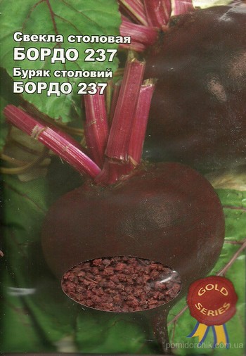 Коли садити буряки у 2024 році