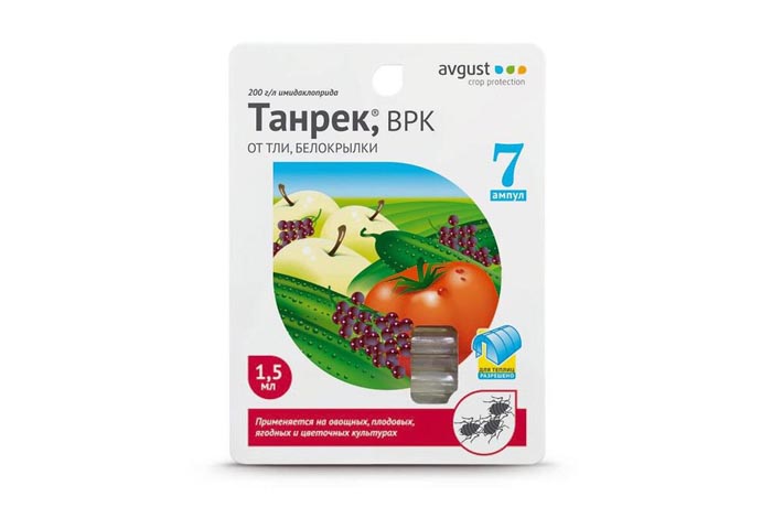 Попелиці на огірках у теплиці та відкритому ґрунті. Рейтинг 2024 засобів від попелиці