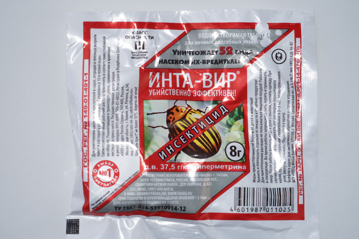 Як позбутися попелиці на смородині: рейтинг коштів від попелиці 2023 року