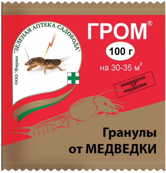 Ведмедка: як виглядає, чим харчується і як з нею боротися