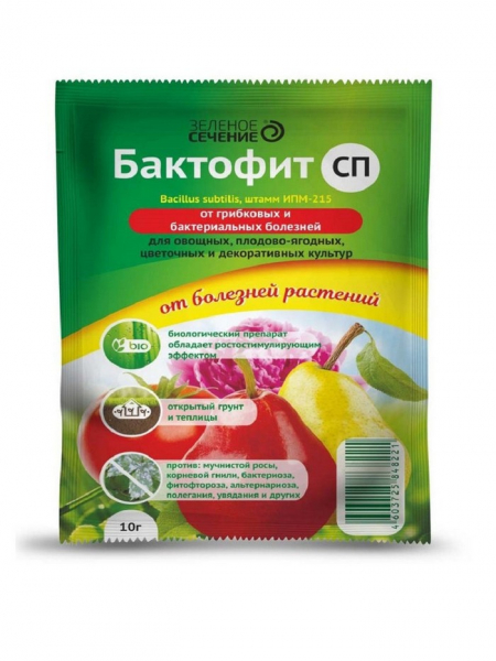 Фузаріоз &ndash; що це, як виглядає, симптоми, лікування