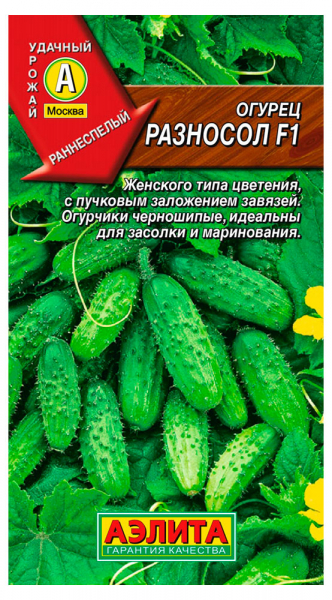 Урожайні сорти огірків - рейтинг 2024 року