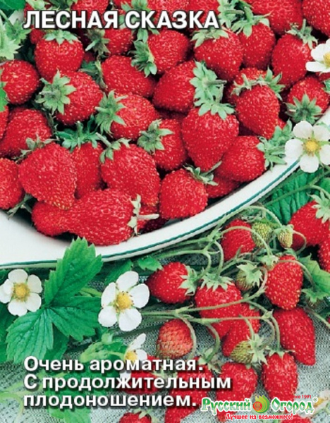 Кращі сорти полуниці для України у 2024 році