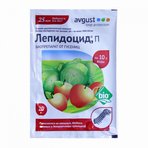 Білокрилка: як виглядає, чим харчується, як її позбутися