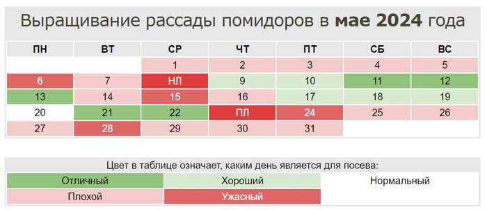 Коли садити помідори на розсаду у 2024 році
