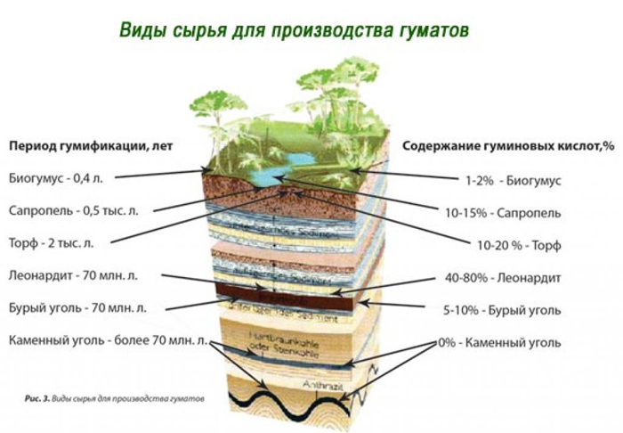 Гумати калію та натрію: що це таке, для чого і як їх правильно застосовувати?