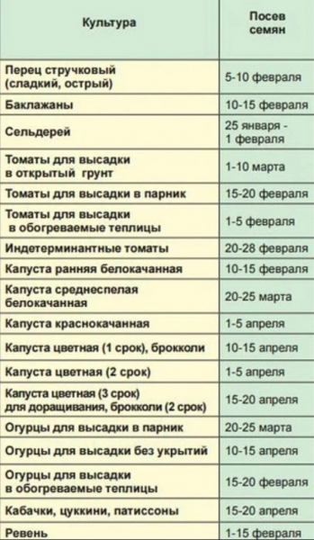 Томат Благовіст (25 фото) &mdash; характеристика та опис сорту, відгуки