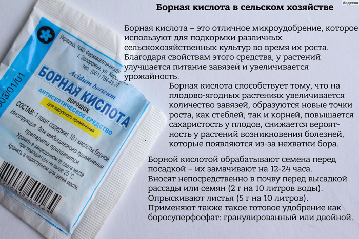 Борна кислота для огірків: дозування та схеми для підвищення врожаю