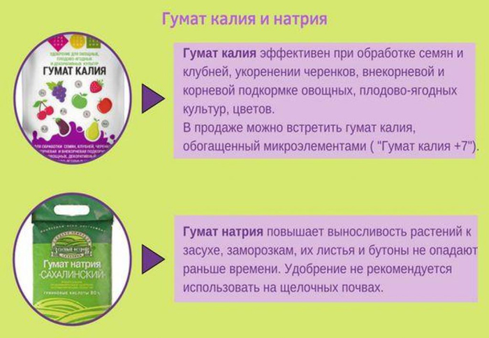 Гумати калію та натрію: що це таке, для чого і як їх правильно застосовувати?