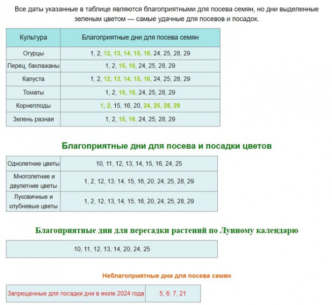Що посадити у липні 2024 року
