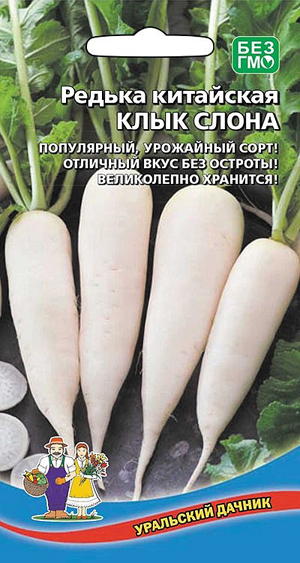 Як садити редьку: сорти, терміни, як сіяти