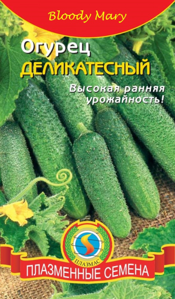 Урожайні сорти огірків - рейтинг 2024 року