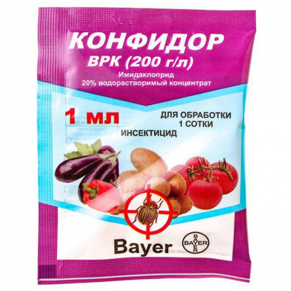 Як позбутися попелиці на смородині: рейтинг коштів від попелиці 2023 року