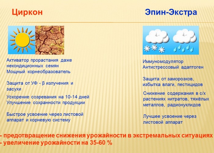 &laquo;Епін&raquo; для рослин &ndash; опис та інструкція із застосування &laquo;чуда-засобу&raquo;