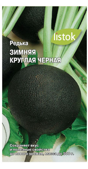 Як садити редьку: сорти, терміни, як сіяти