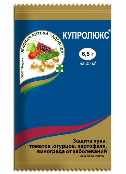 Пероноспороз рослин: що це, як боротися та врятувати врожай