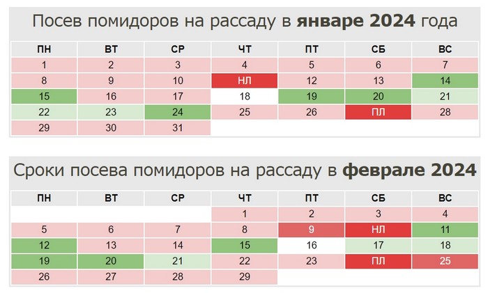 Коли садити помідори на розсаду у 2024 році