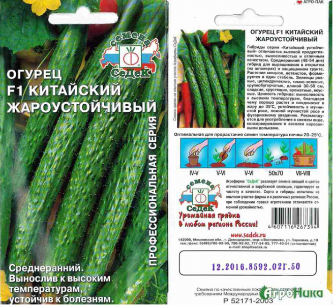 Урожайні сорти огірків - рейтинг 2024 року