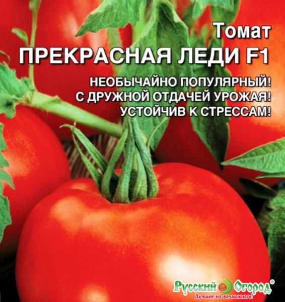 Кращі сорти томатів для теплиць із полікарбонату у 2024 році.