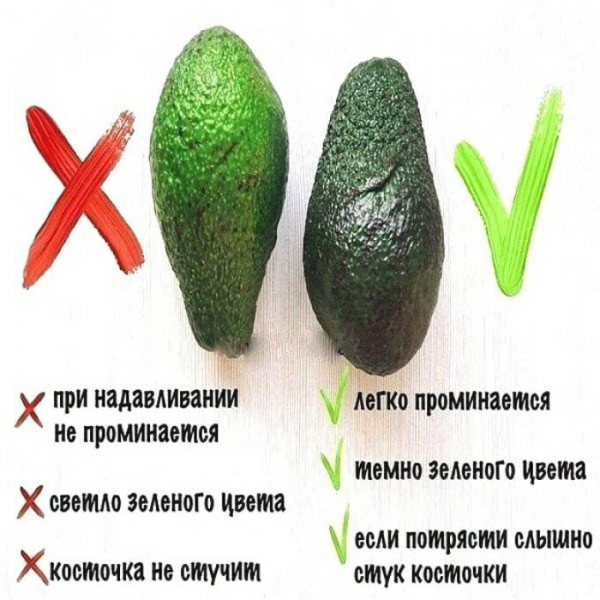 Як виростити авокадо з кісточки - 100% ефективний метод