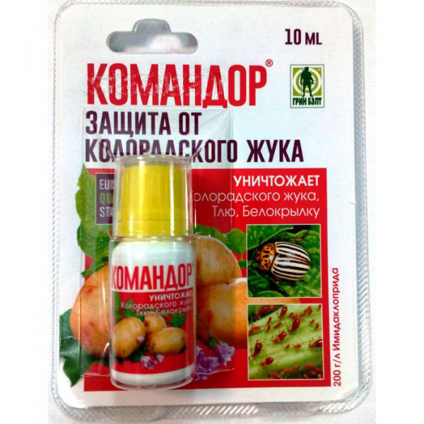 Попелиця: як позбутися, чим обробити? Рейтинг коштів 2023 року