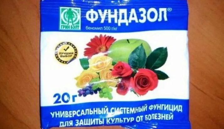 Білий наліт на листі троянди: причини появи та обробка