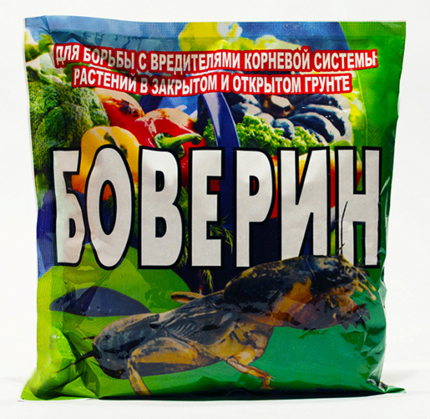 Як вивести капустянку