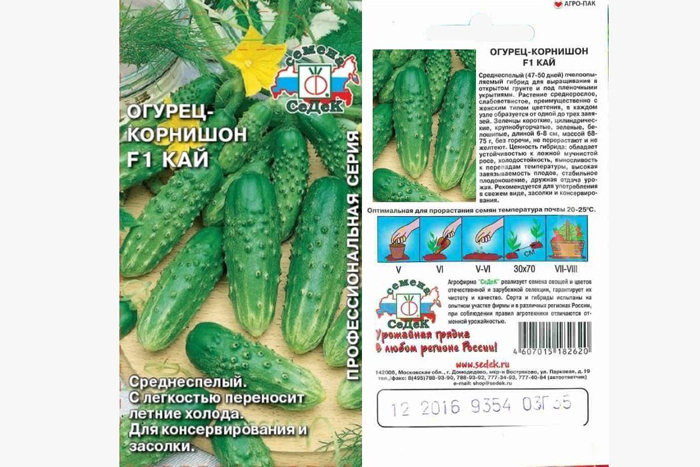 Урожайні сорти огірків - рейтинг 2024 року