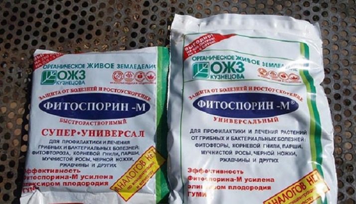 Чим можна обробити троянди?