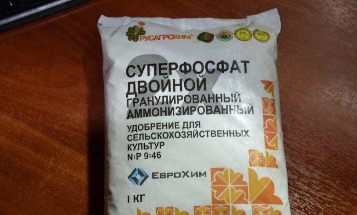 Чим можна обробити троянди?