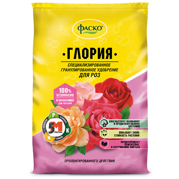 Чим підгодувати троянди для пишного цвітіння?