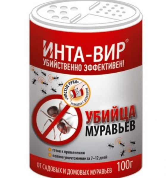 Чому у троянди опадають бутони і що робити?