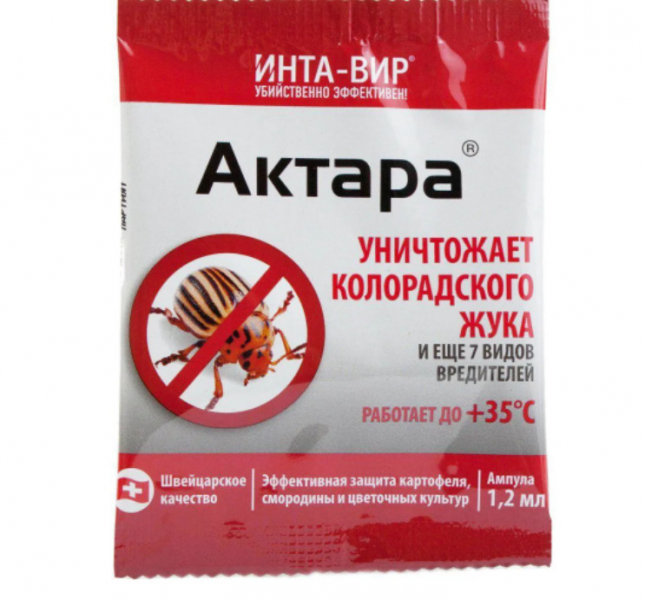 Чому у троянди опадають бутони і що робити?