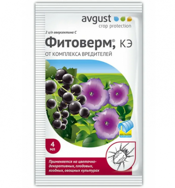 Чому у троянди опадають бутони і що робити?